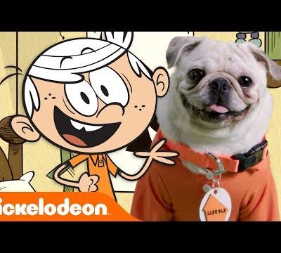 BTS w/ SpongeBob Pugs, Rugrats Pugs, & More CUTE Pugs!! 🐶 | Nick