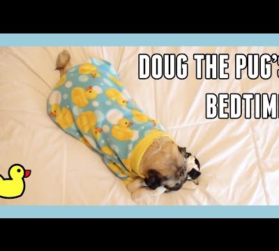 Doug the Pug's Bedtime