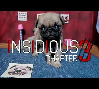 Insidious: Chapter 3 (Cute Pug Puppy Edition)