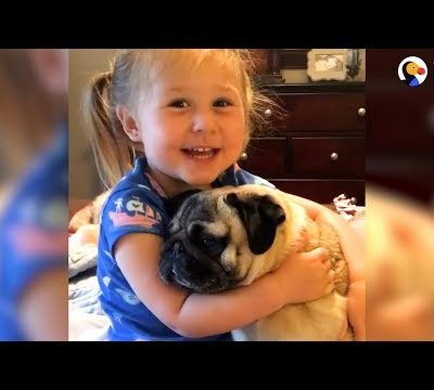 Little Girl Says The Funniest Things To Her Pugs | The Dodo