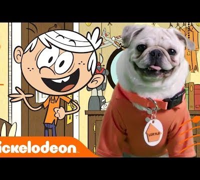 The Loud House 🎤 Cute Pugs Rockin’ Out to Your Fav Loud Songs!🐾